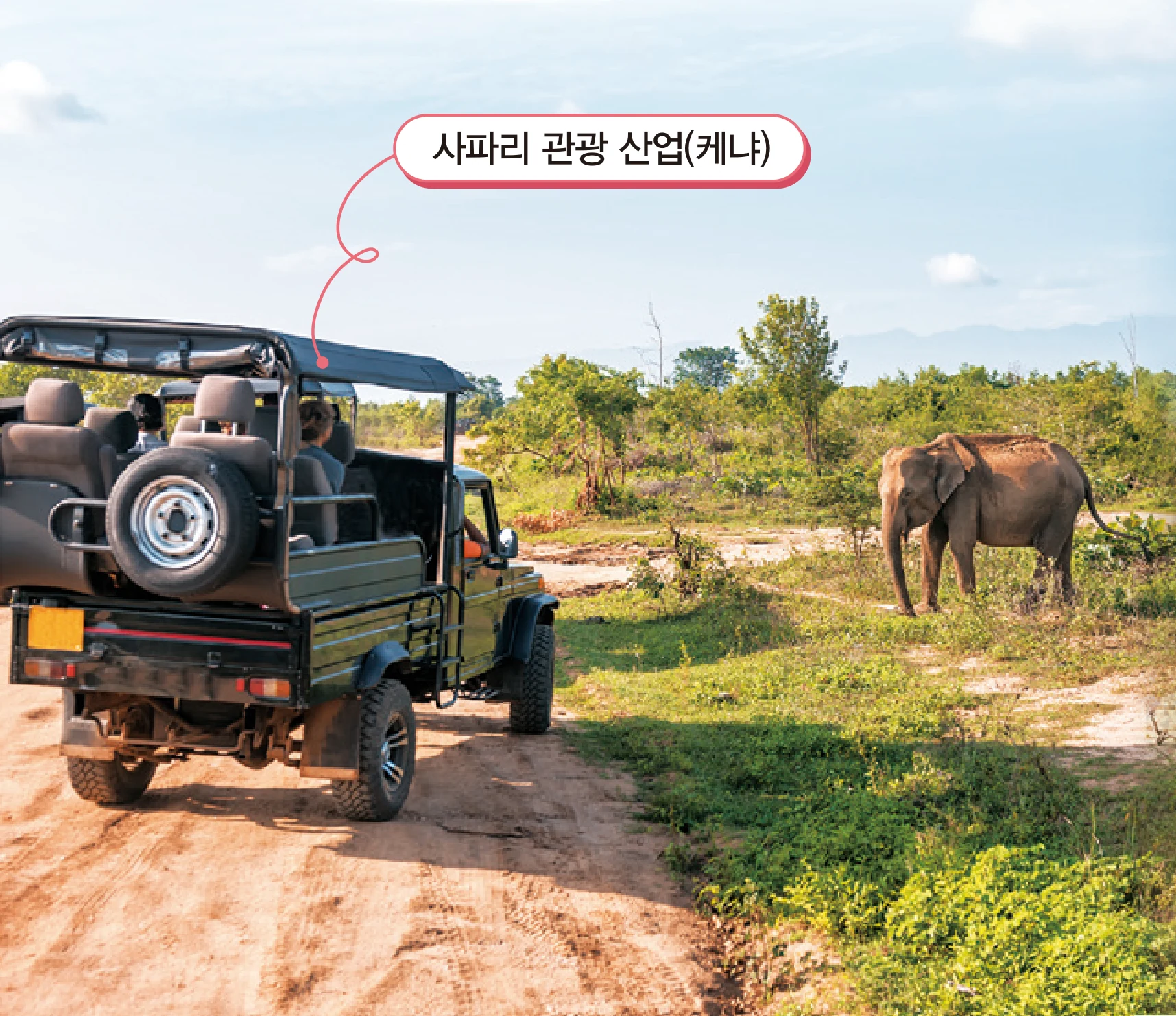 교과서 37쪽 아래 — 초원을 달리는 차와 코끼리