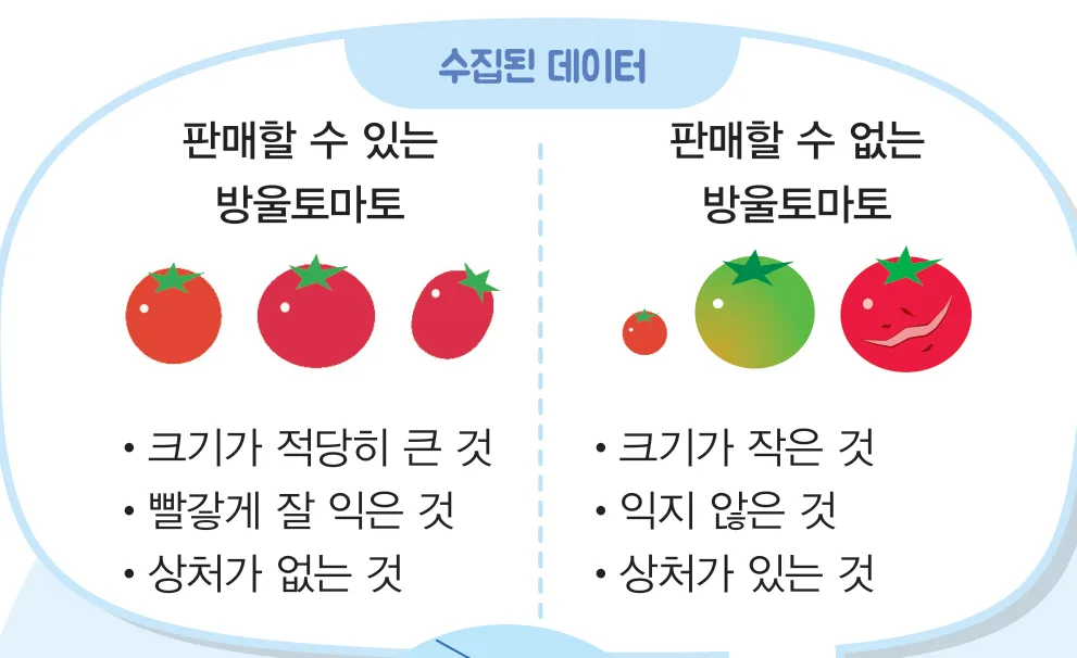 교과서 72쪽 — 판매할 수 있는 방울토마토와 판매할 수 없는 방울토마토 상자 둘